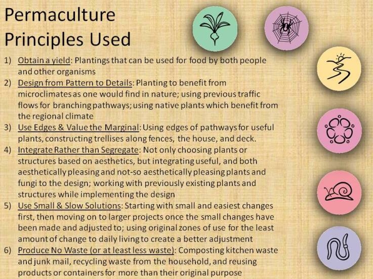 student portfolio examples permaculture design certificate online