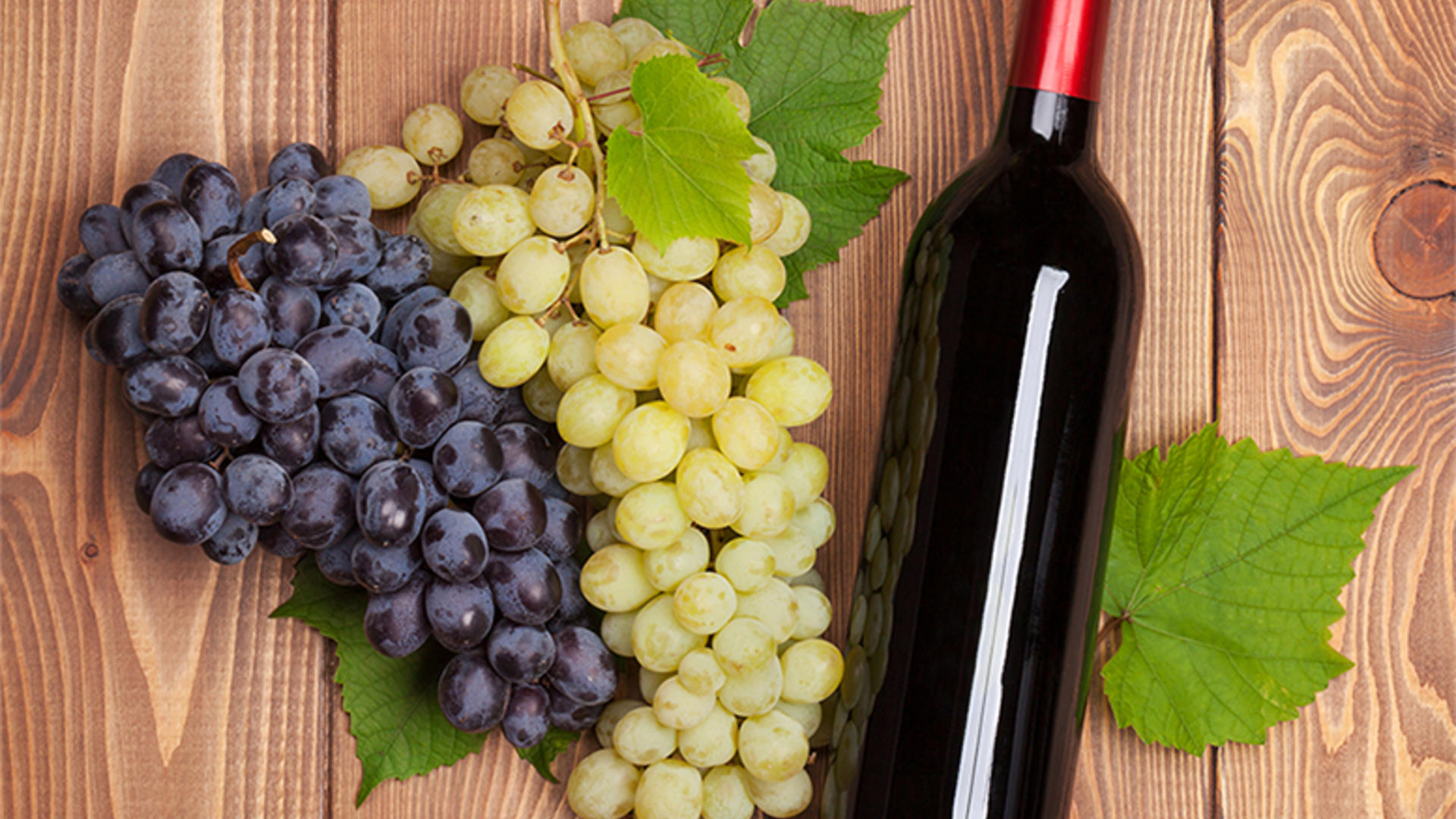 Wine Course Professional and Continuing Education