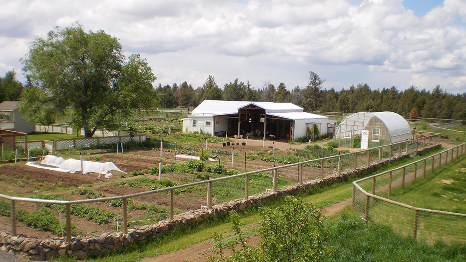 Permaculture Design Certificate Online Permaculture Design Certificate Online