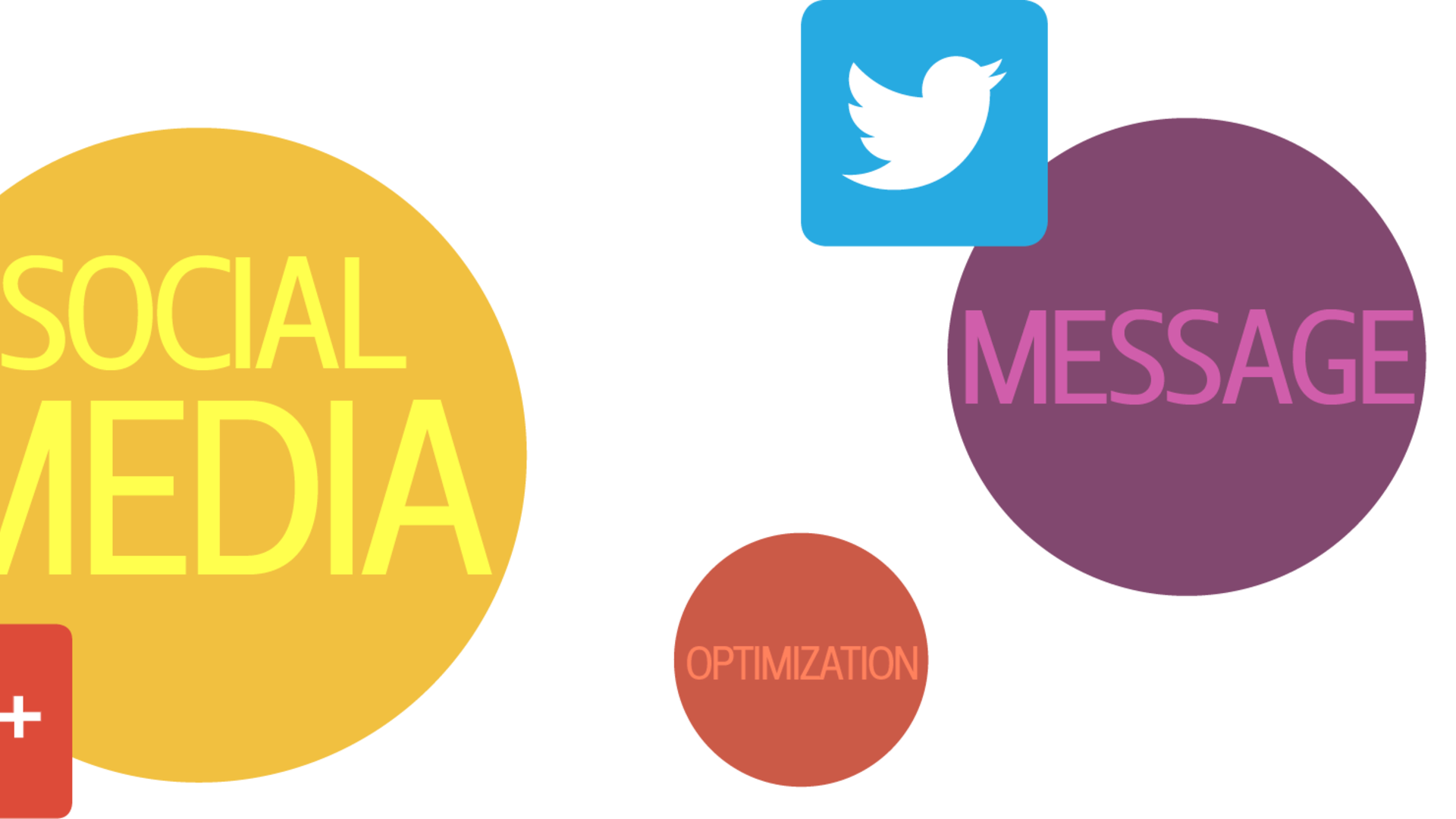 brand management